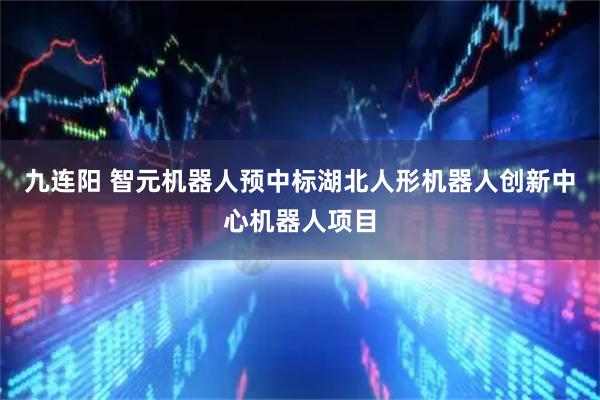 九连阳 智元机器人预中标湖北人形机器人创新中心机器人项目