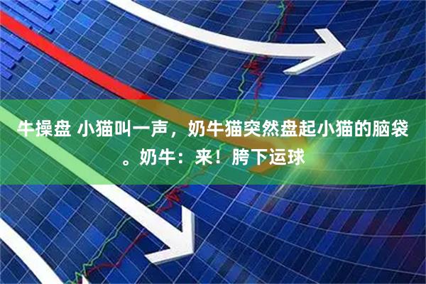 牛操盘 小猫叫一声，奶牛猫突然盘起小猫的脑袋。奶牛：来！胯下运球