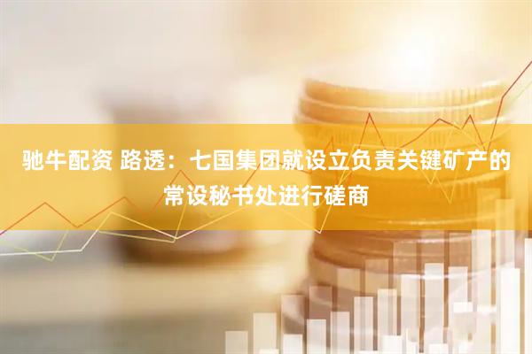 驰牛配资 路透：七国集团就设立负责关键矿产的常设秘书处进行磋商